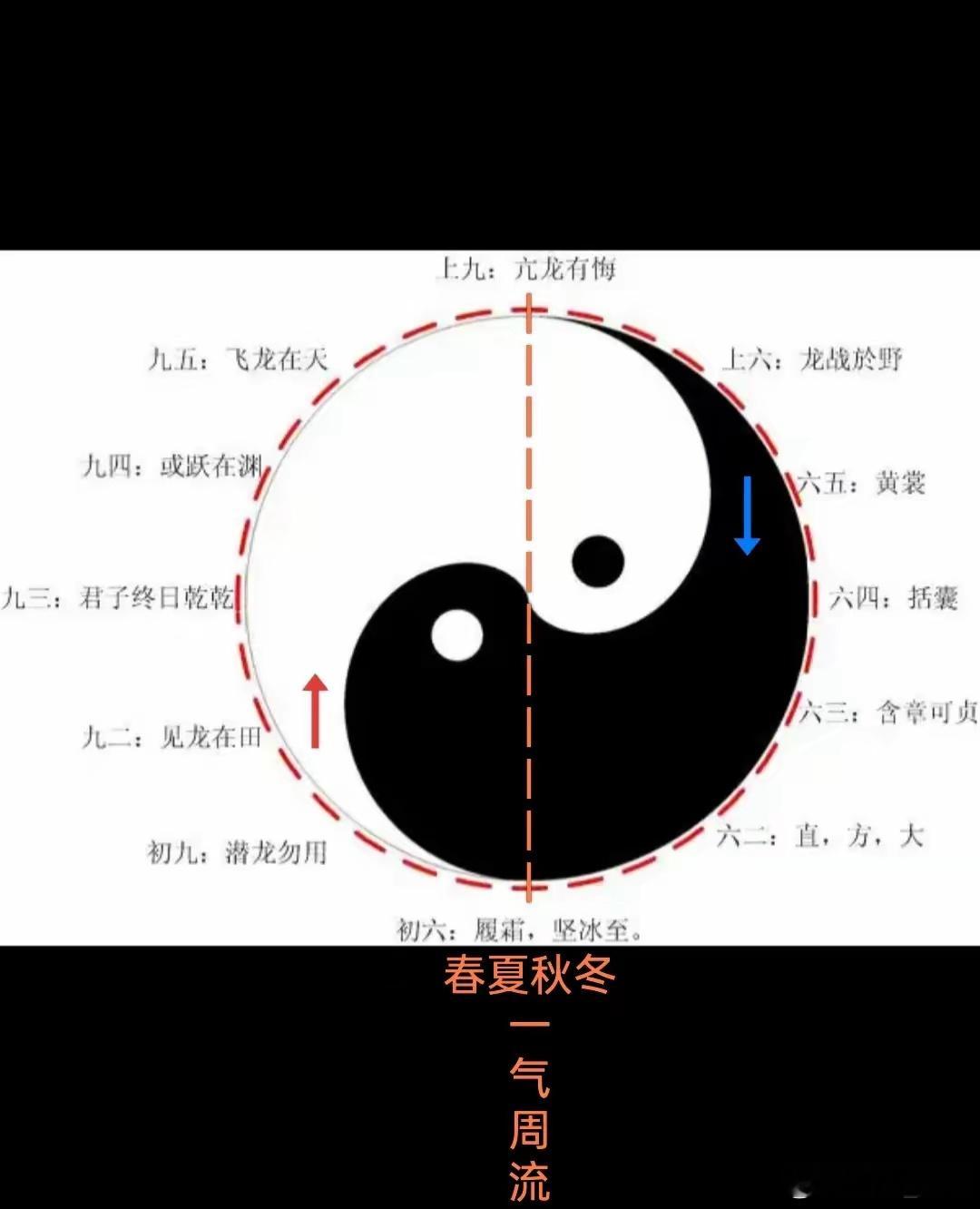 大肠主津浅议“大肠主津”的含义与解读“大肠主津”的概念“大肠主津”是中医理论中