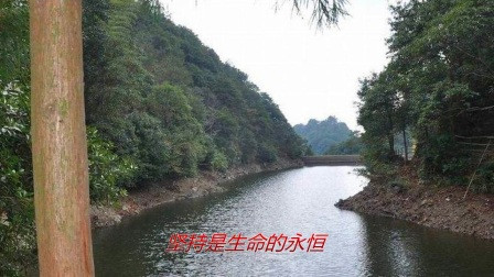 【九州天空城】霸道(苦逼)羽皇追婚记--03小真