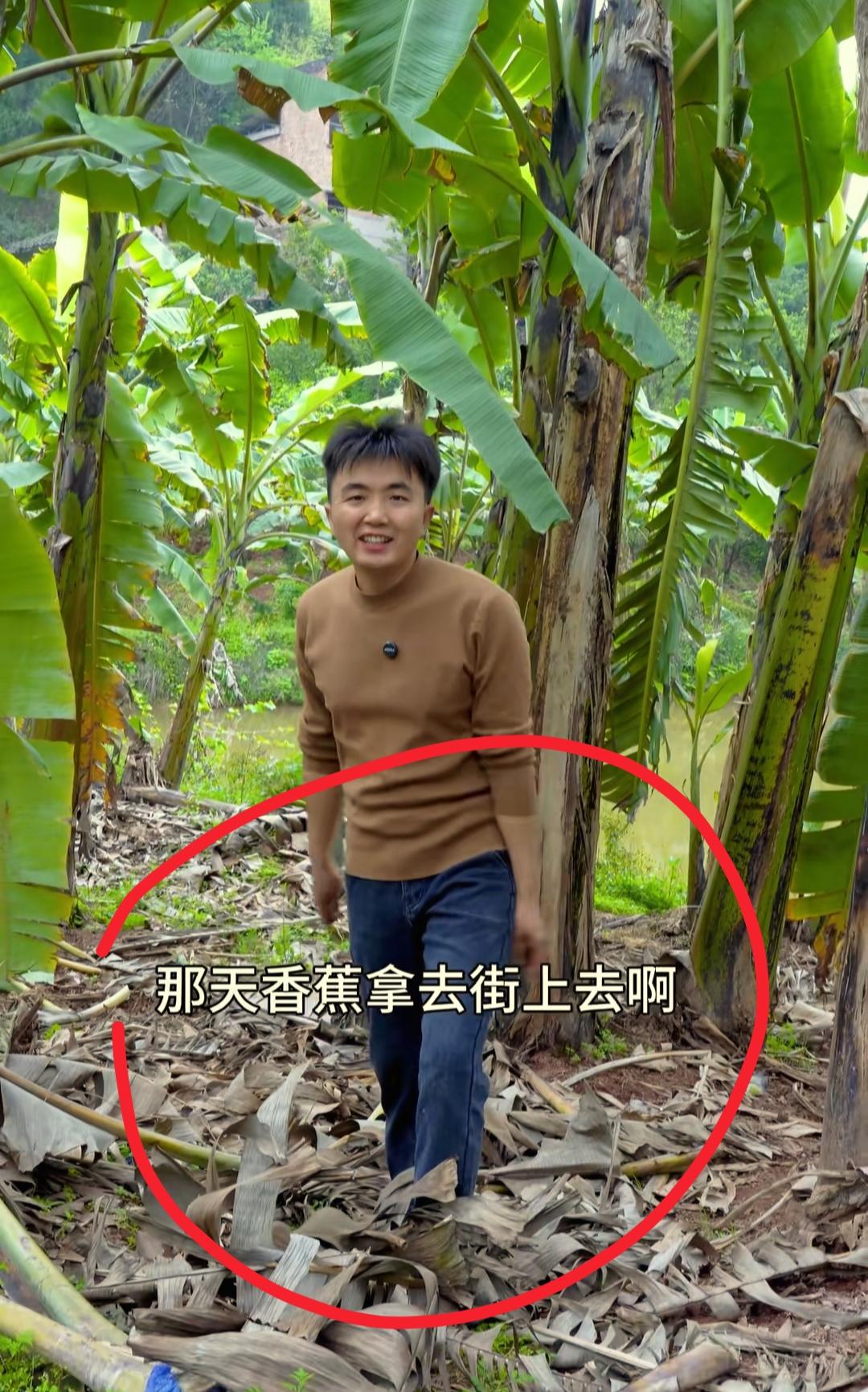 我开始有点理解买香蕉的阿姨了徐三娃这么会做生意的小伙子，谁会不喜欢啊？不仅是