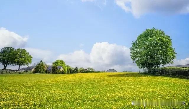 女人最难忘记的情人，往往不是那些外表出众或物质条件优越的人，而是那些在情感深处留