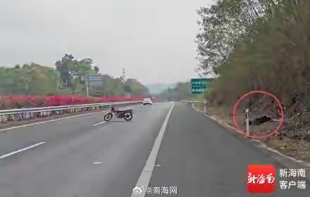 2026年3月10日，海南海三高速，一男子无证驾驶无牌“四无”摩托车，因困倦将车