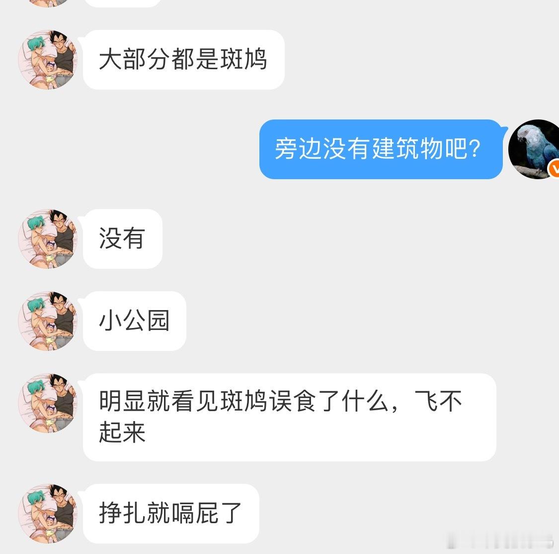 鸟粉投稿空地上发现很多只死去的鸟有喜鹊但大多是斑鸠，躺着好几只没有明显的外伤