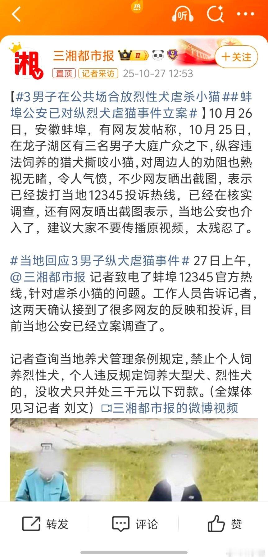 3男子在公共场合放烈性犬虐杀小猫烈性犬沾过血,吃过生后,就野性了。这种野性,也会