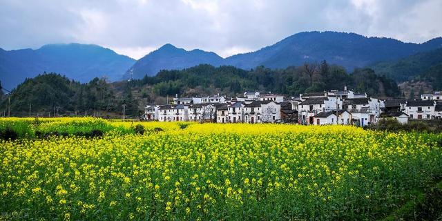 错过悔一年! 这7个赏花秘境, 最后一个连本地人都不知道!