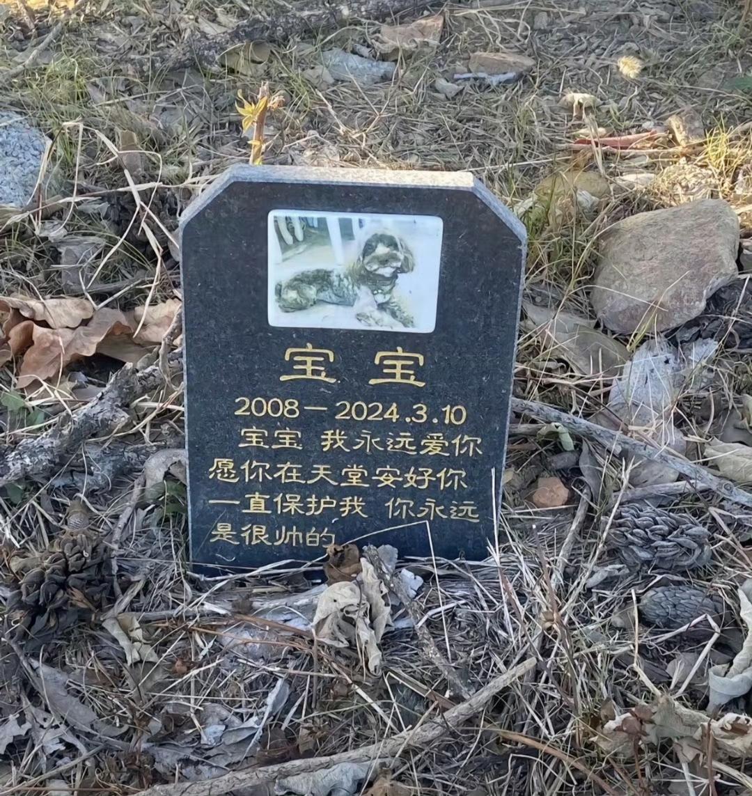 瞅了半天，原来葬的是………