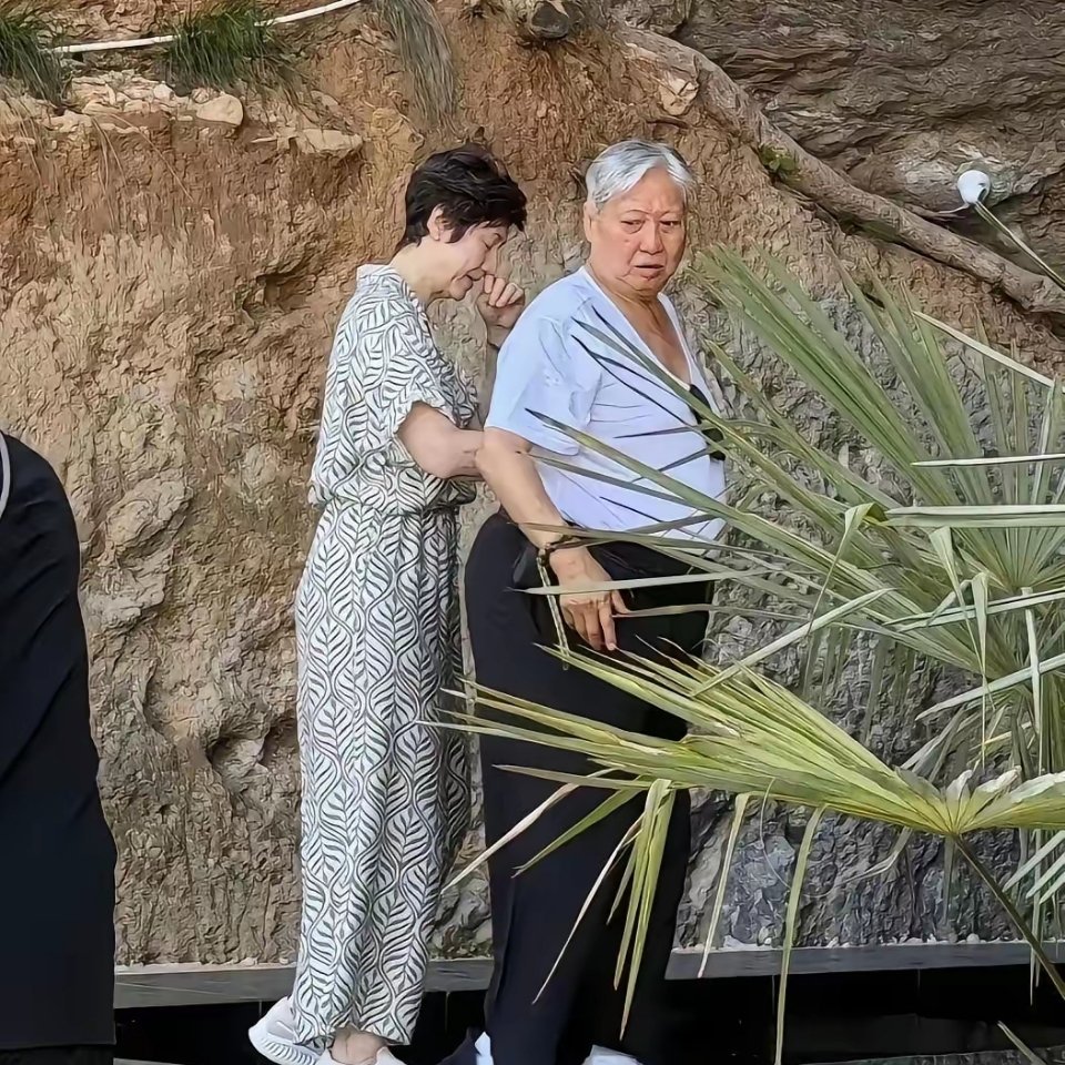 76岁洪金宝和妻子高丽虹，在湖北恩施旅游被偶遇。洪金宝拄着拐杖，走路有些吃力，全