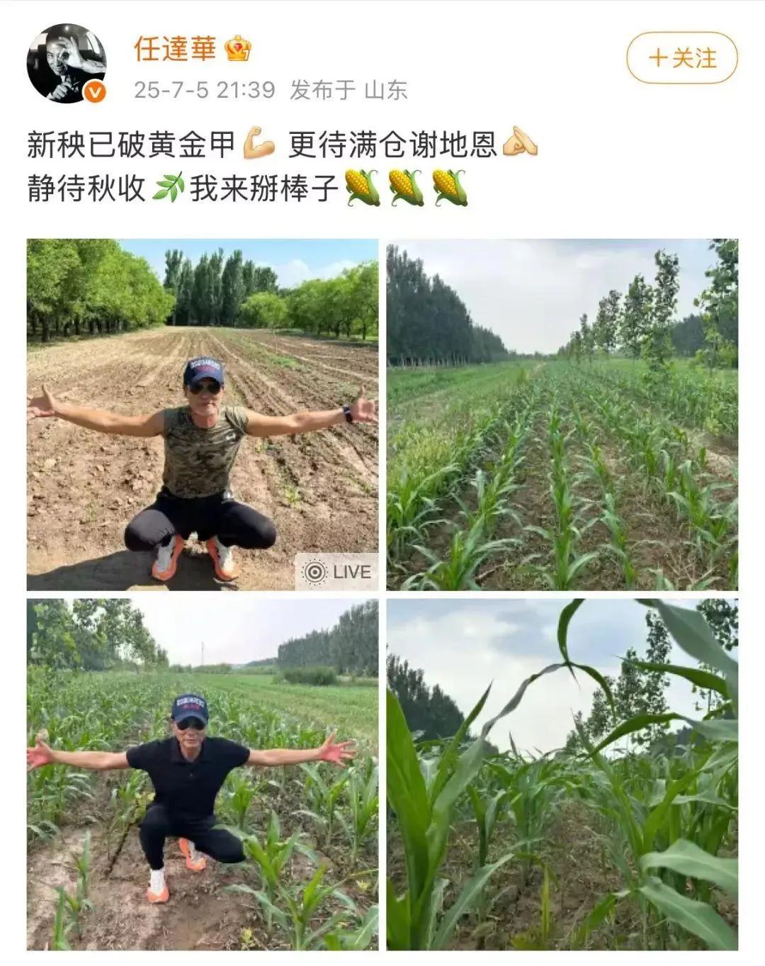 69岁的任达华现身山东平阴老家，农活不断。先是割麦上热搜，又顶着烈日种玉米。视