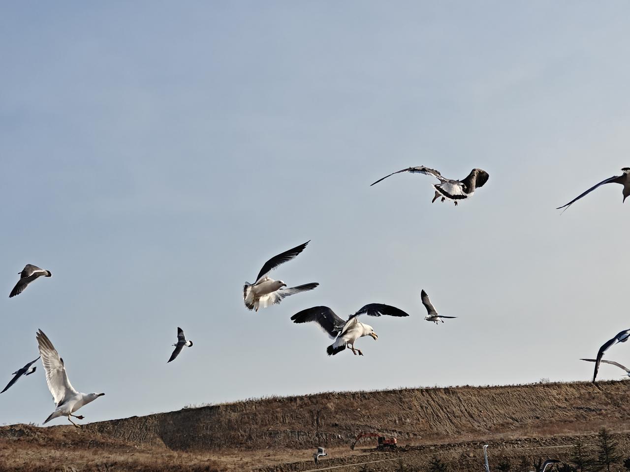 年味儿去哪儿了？许多人都在吐槽，现在的年味儿越来越淡了，或者说没有过年味儿了。要