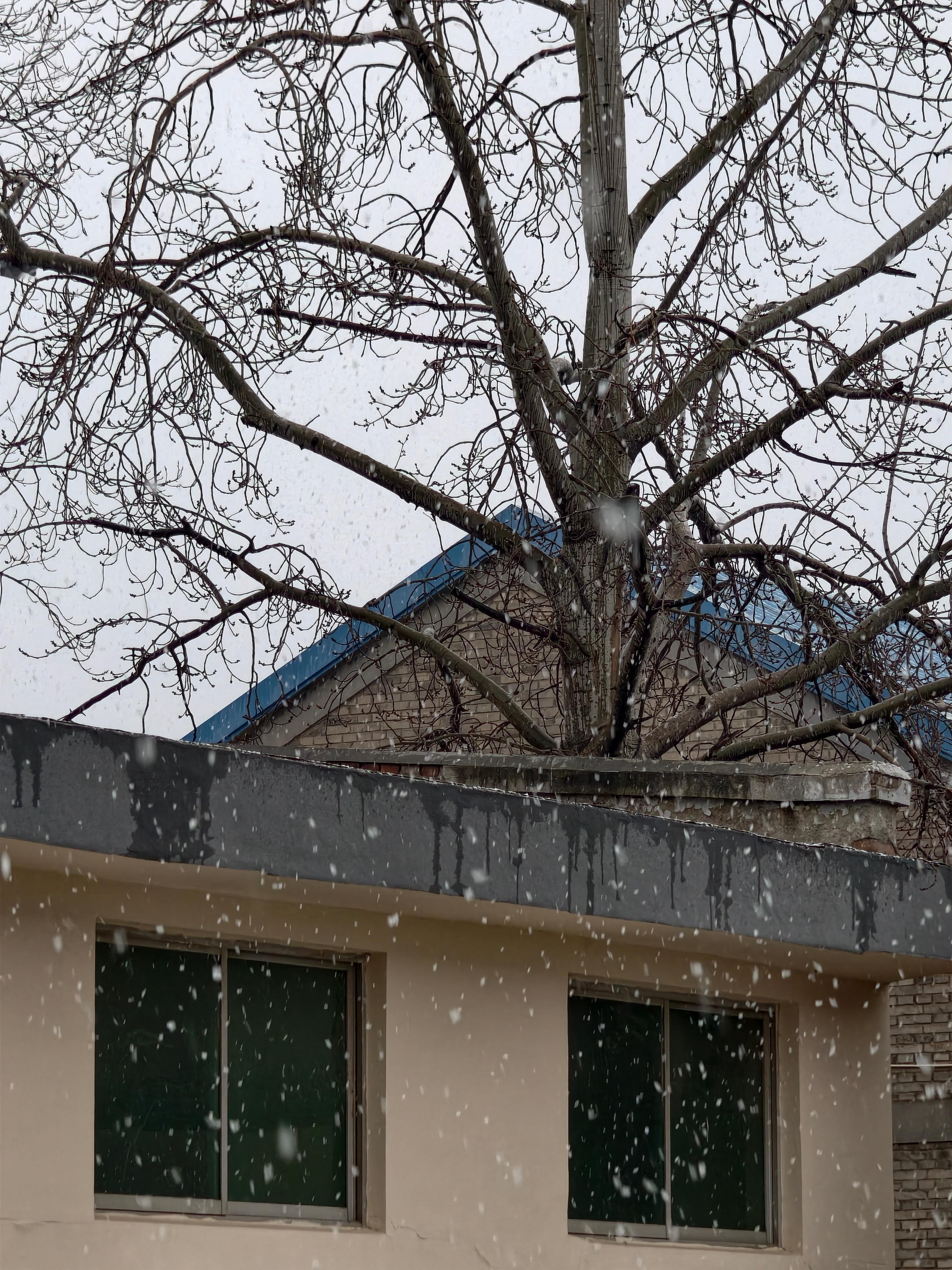 2025年第1场雪给车换个装备给自己的奖励