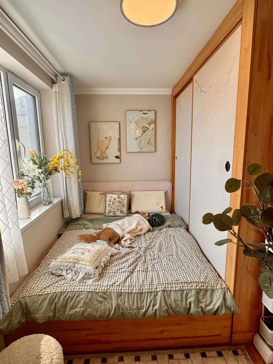 谁懂啊🥺我的小小房子，真的可以住的很舒服