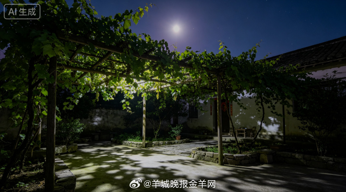 #晚安#柔和月光透过葡萄藤蔓，在院中地面落下斑驳碎影，晚风驱散白日闷热。静坐藤