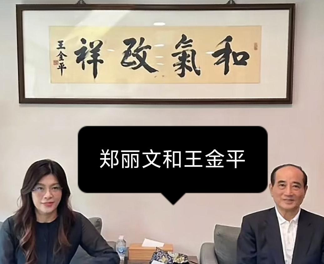 绿营“独派名嘴”们听到“国民党本土派逐渐靠拢郑丽文”时都吓到了，尤其是得知郑丽文