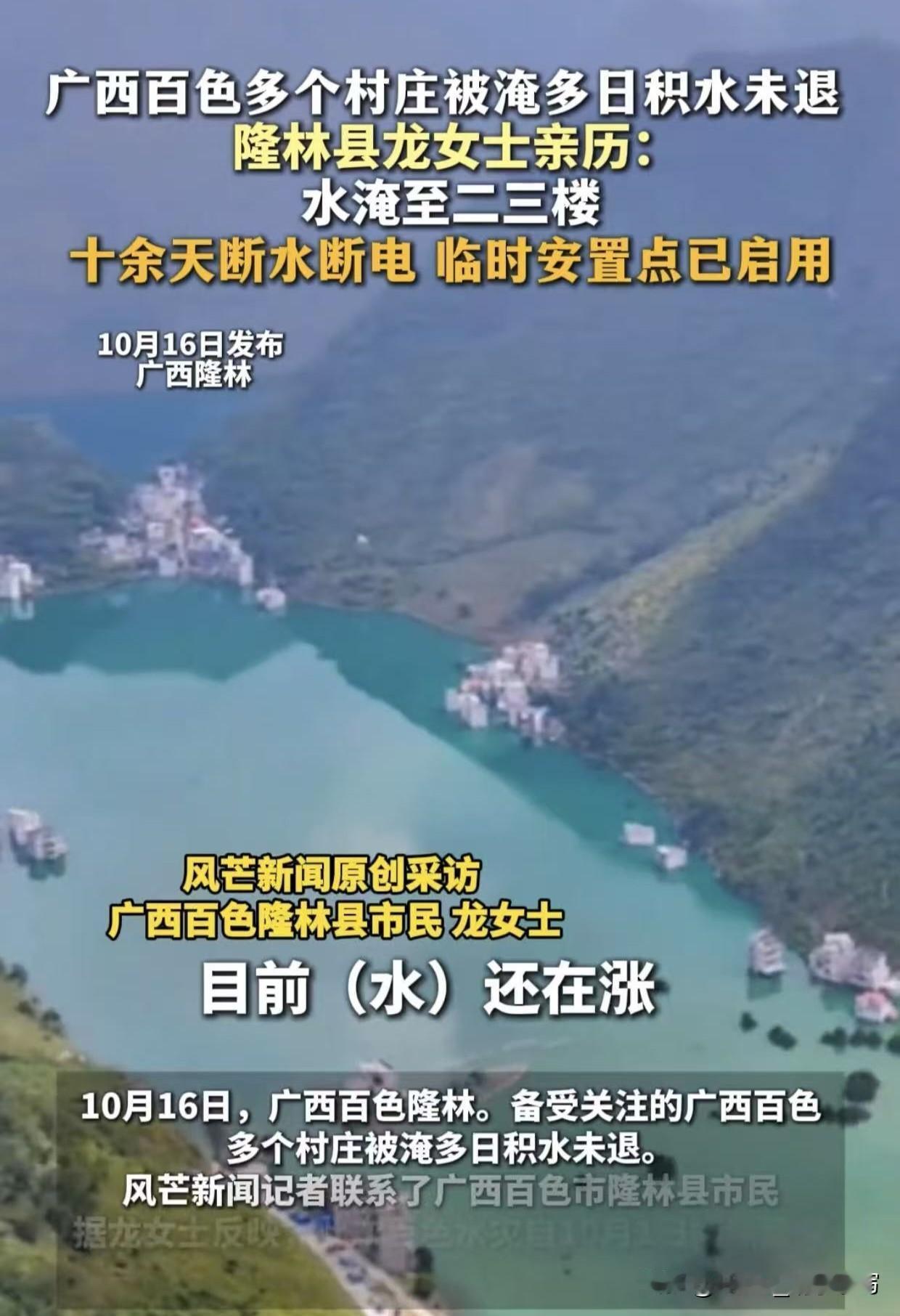 水都绿了！广西百色这场洪水真的太吓人了！村子泡水里半个月，庄稼没了，房子塌