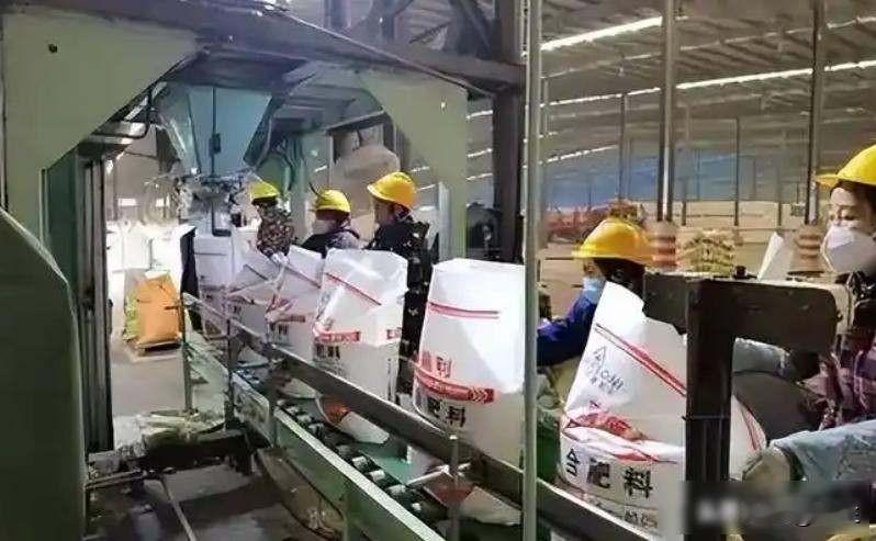 尿素招标流标了，印度急得睡不着，中国却一声不吭2026年4月15日，印度举办了