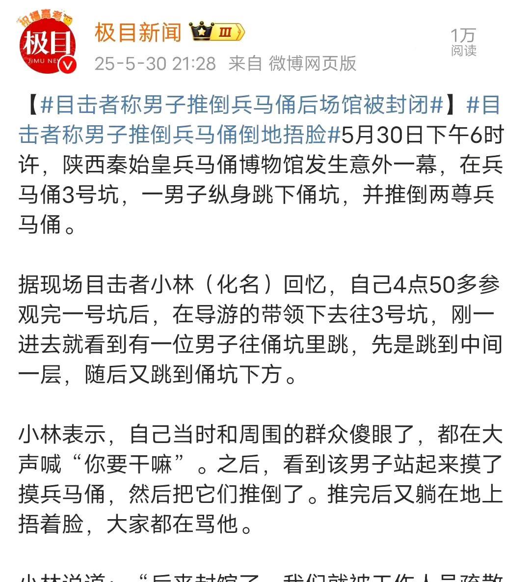 这么看来这个人很大可能是故意跳进兵马俑坑的，如果真是故意的，那实在可恶，我觉得可