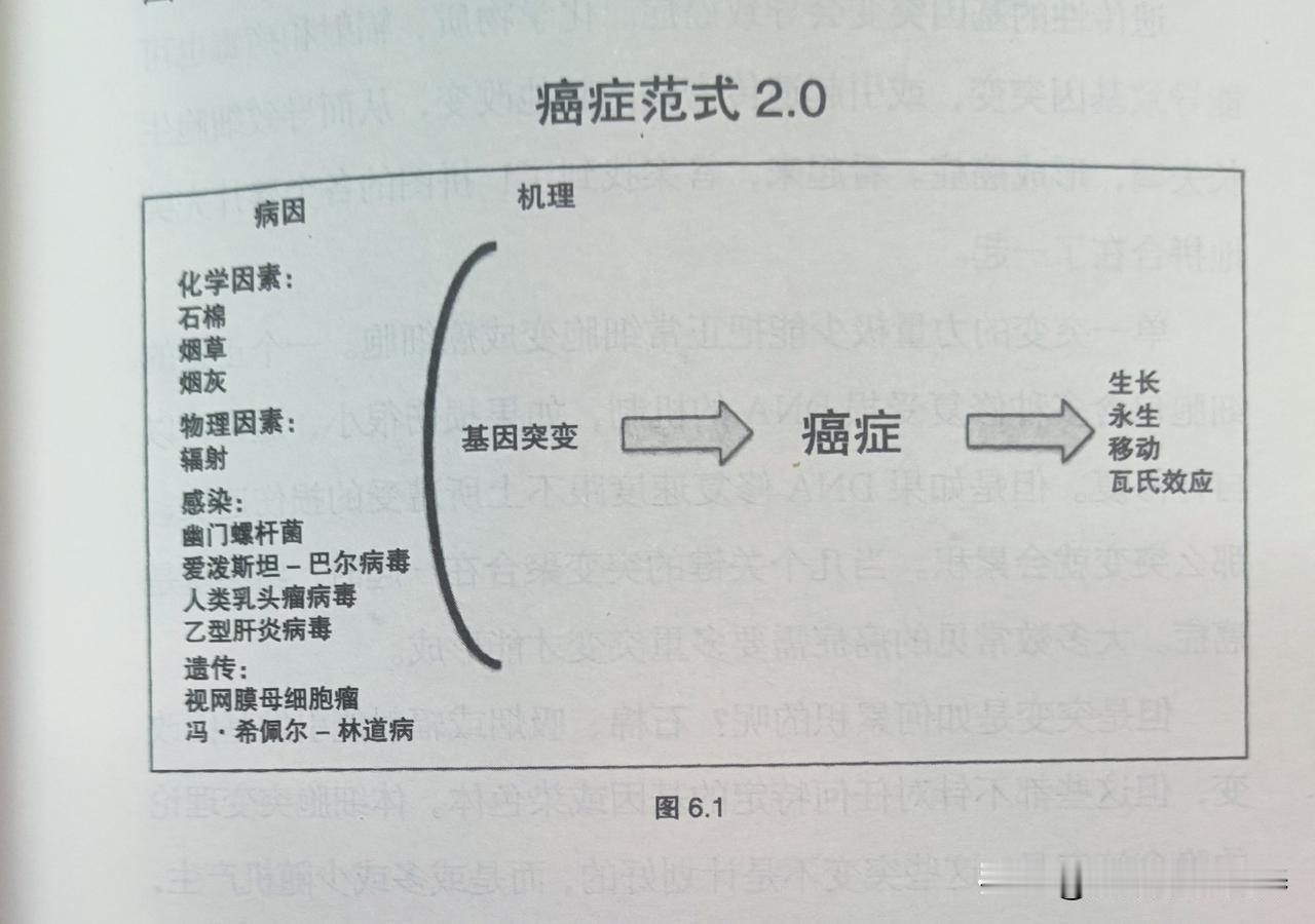 叶酸与维生素B6或可降低乳腺癌发病风险最新研究结果表明，摄入足量的叶酸和维生
