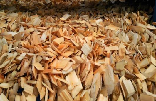 日本和美国早已禁种，那中国为何依然大力种植？背后的原因不简单 麻烦看官老爷们