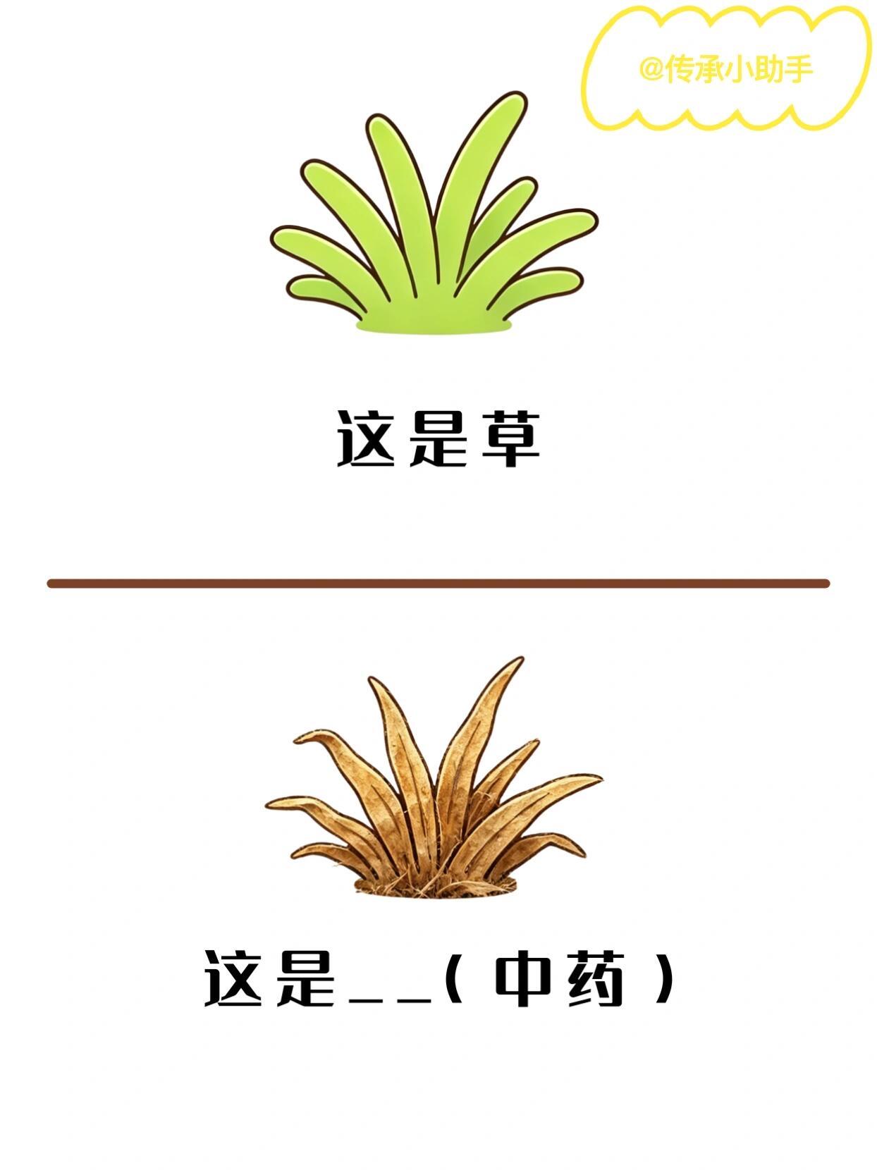野生中药谜（直觉版）谐音梗来啦就这点，别跟我讲你懵了（｀Δ´）！答案会在