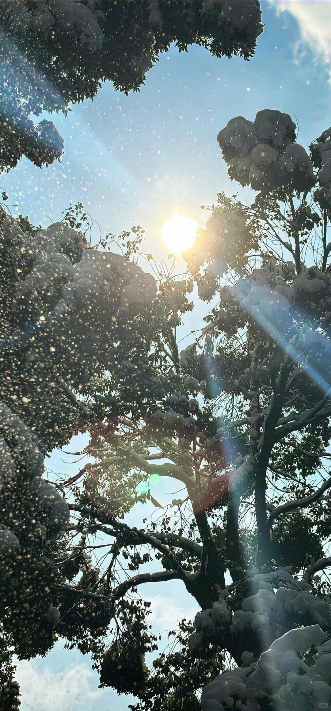 𝘀𝗵𝗮𝗿𝗲𝙒𝙚𝘾𝙝𝙖𝙩wallpaper壁纸分享i