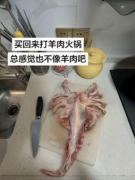 羊蝎子的由来？把完整的羊脊骨，从脖子一直到尾椎，一节一节的骨架，两侧有向外伸的