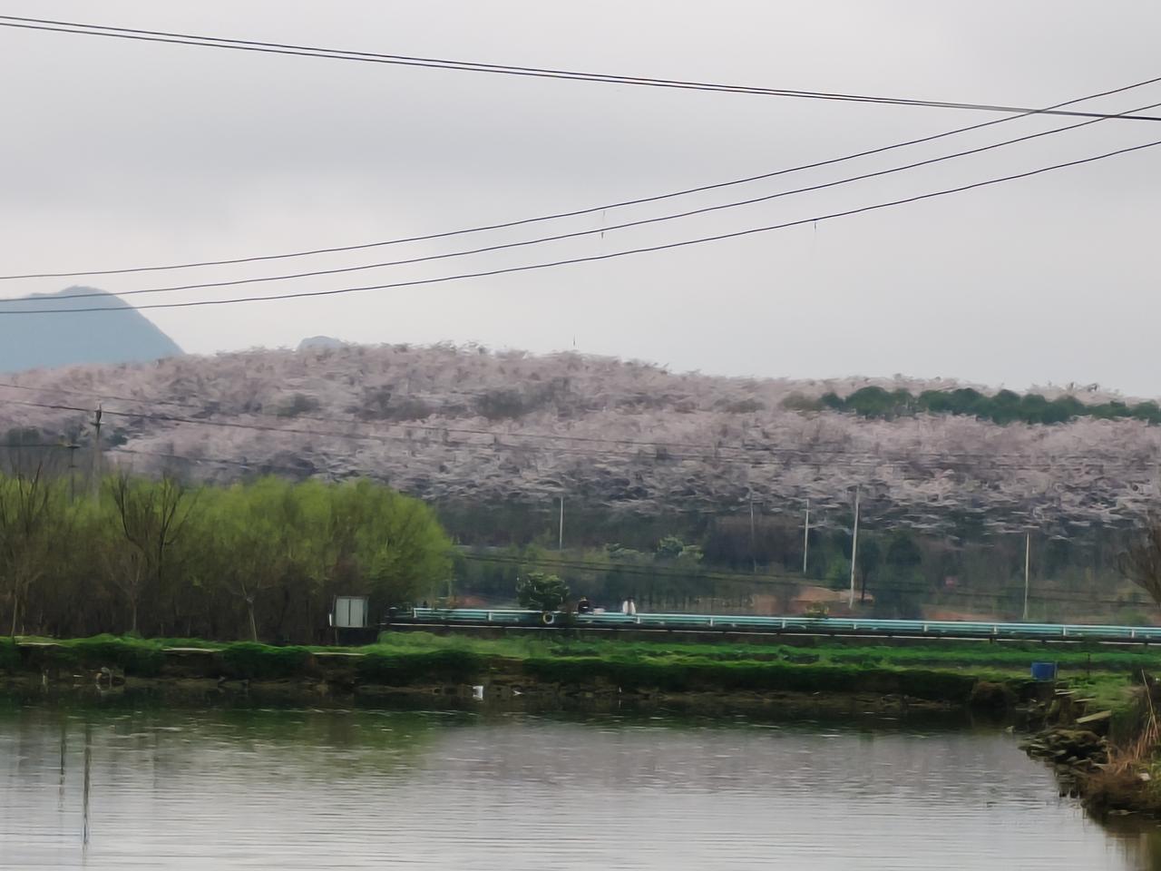 A股的涨跌全靠大资金，大资金卖，股市就开始跌，像1月份的时候，汇金大量卖出宽基E