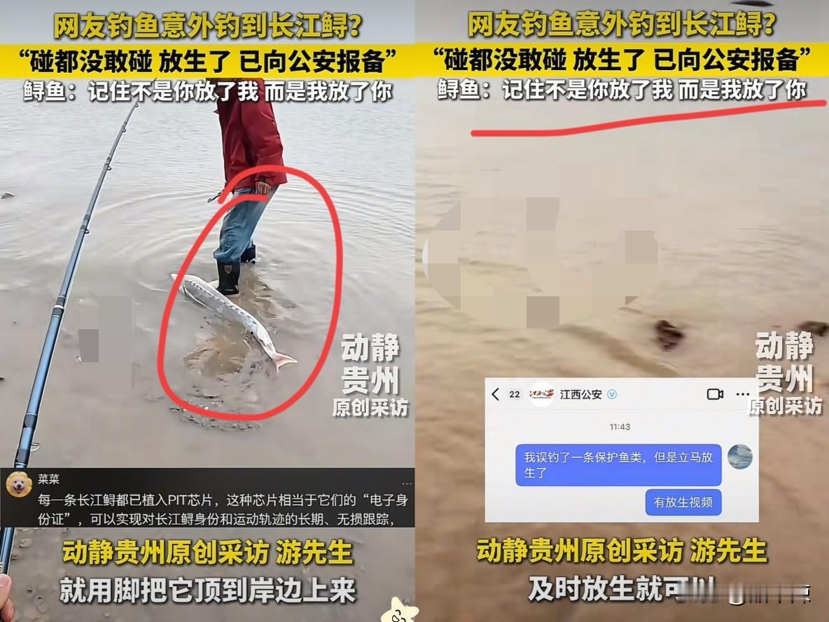 江西一小伙钓了一条大鱼，好不容易拉上岸，却吓得鱼竿都扔了！原来，这条白色的鲟鱼，