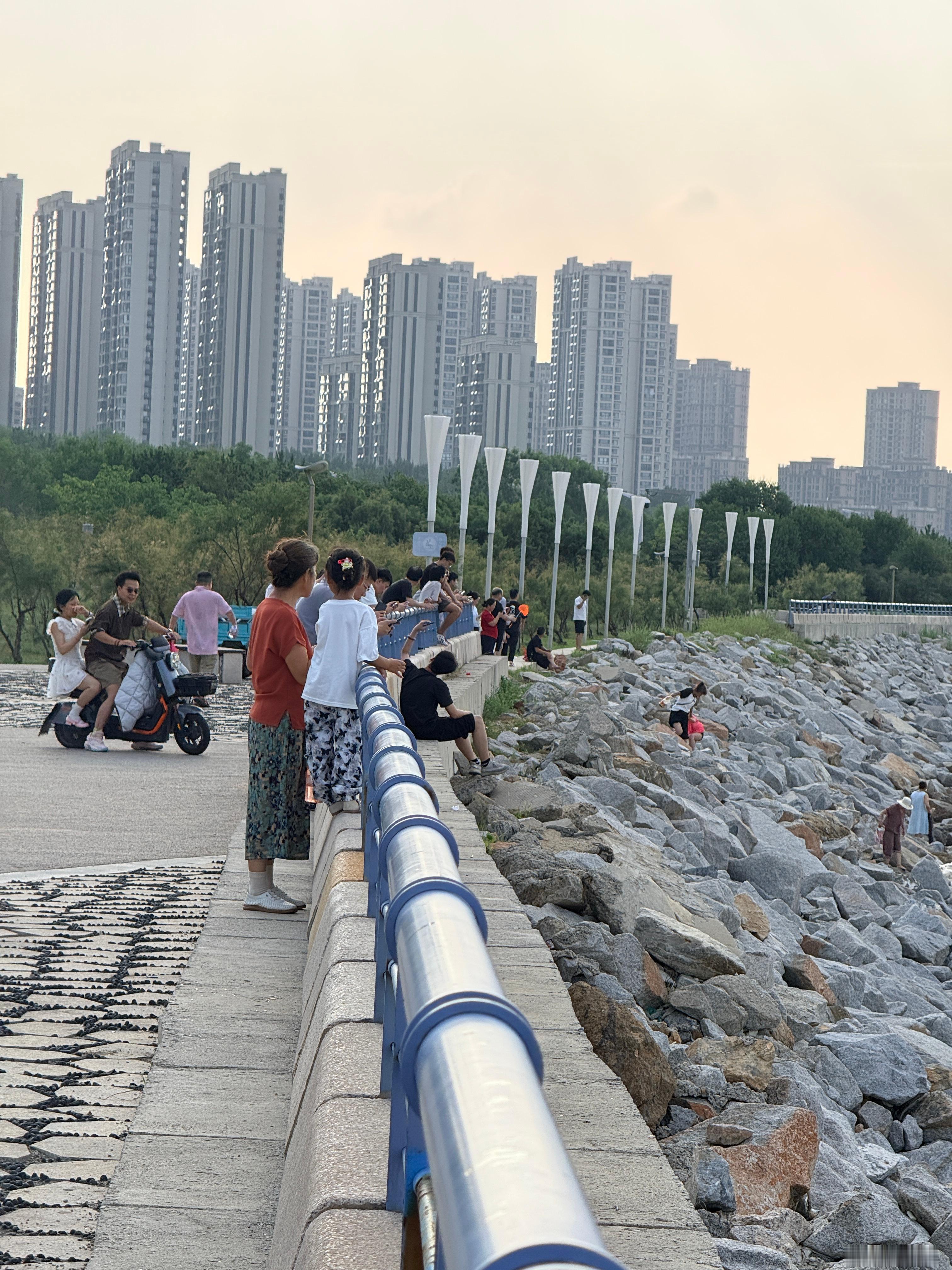 打卡金沙滩湿地公园，感受下黄渤海之滨。烟台·金沙滩湿地公园