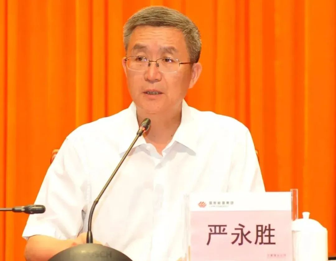 国家能源集团严永胜, 被查!