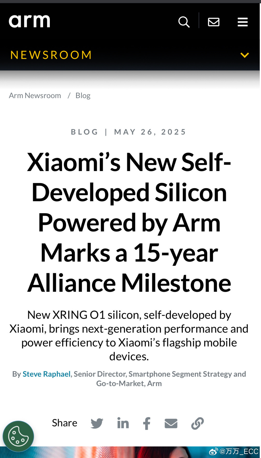 ARM：（你们中国市场还是太复杂了…..）看好了，Self-Developed