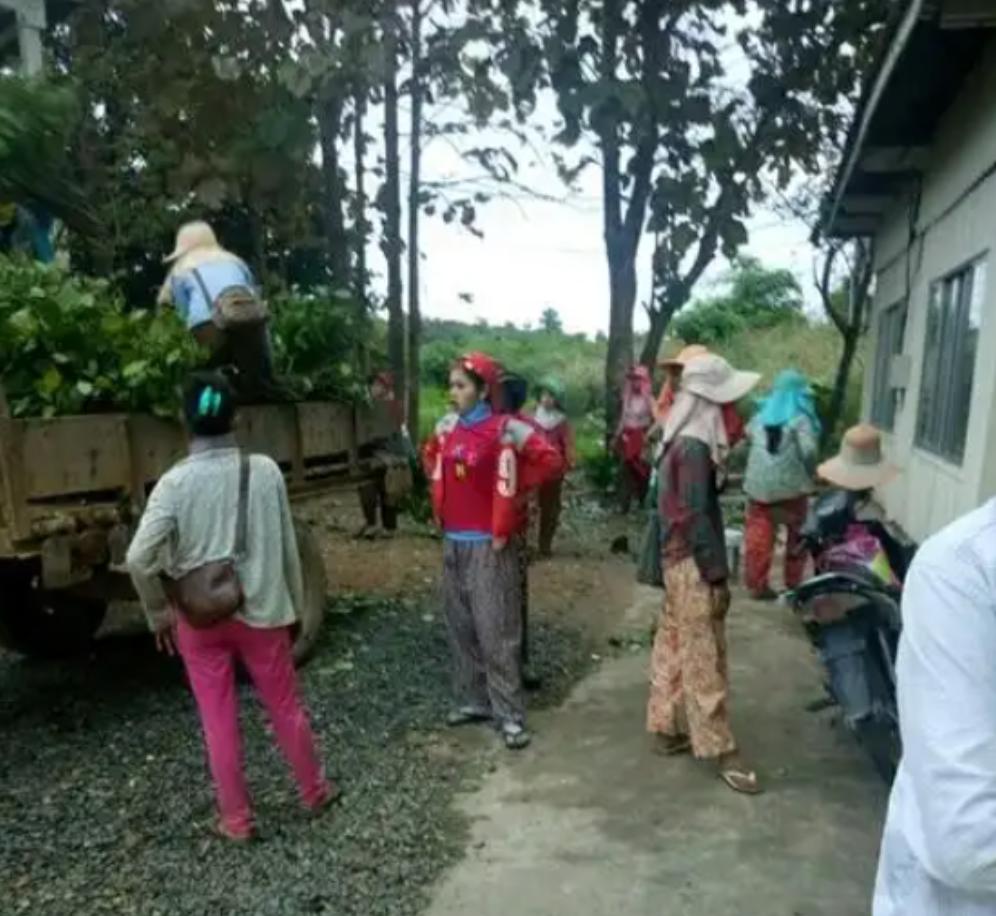 有些国家穷,是很难理解的,就如柬埔寨,18万平方公里的土地,75%是平原