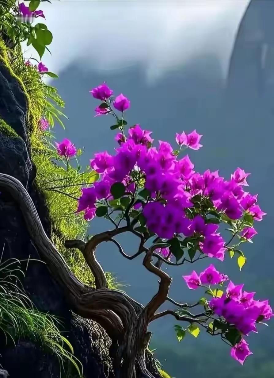 又整理出一柜子旧物，大半都装进了垃圾袋。可翻到最后，两件东西让我停了手，又默默塞