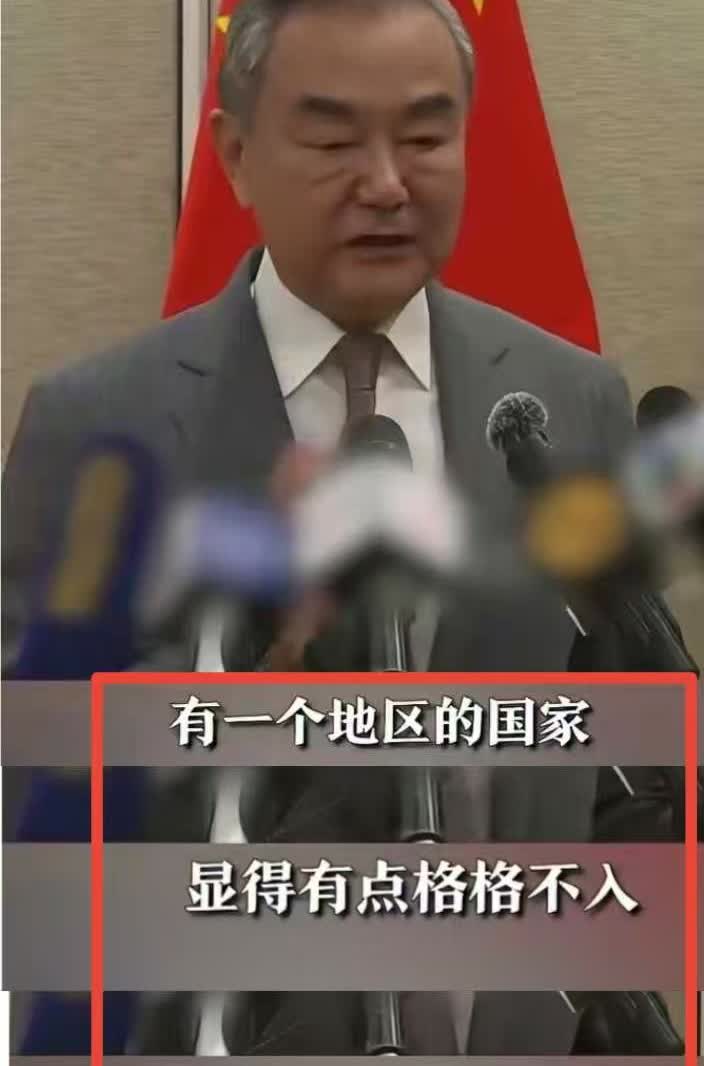 王毅外长所指的那个国家，你一定知道。“它与其他国家格格不入，经常狗急跳墙，甘