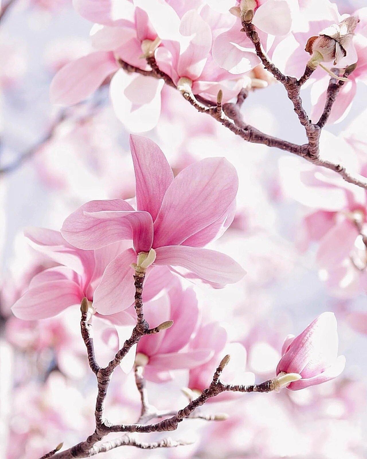 能从这些生活细节看出存款多寡？行为习惯背后的隐藏信号朋友聚会时，有人总爱讨论