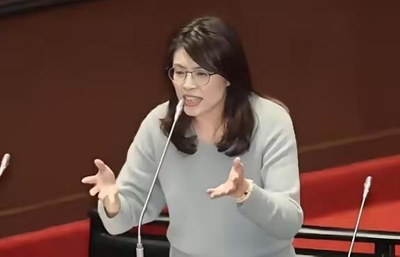 台湾蓝营终于和大陆观点一致了，不接受一国两制！国民党主席郑丽文最近把话说得很