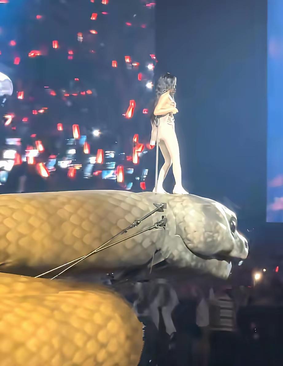 我敢说蔡依林的演唱会是国内史上最震撼演唱会。别看人家身躯小，但是奈何不住人家
