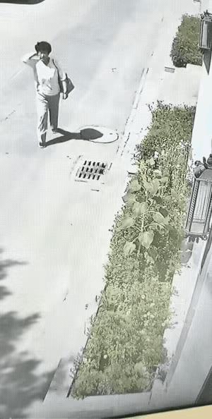 人怎么可以坏到这种程度呢？正在走路的一位大妈，看到路边绿化带里有一棵正在盛开的向