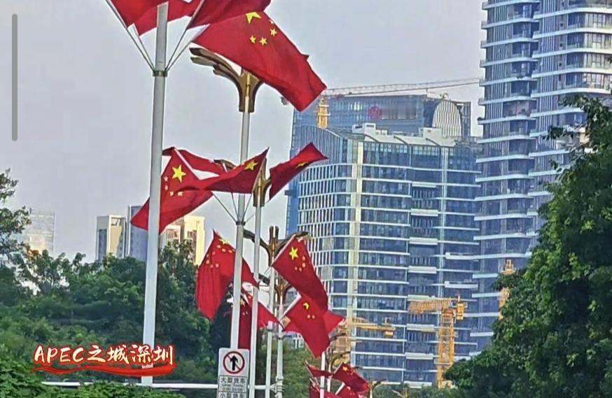 深圳满城红，这鲜亮的色彩要延续到APEC会议之后。金秋十一月，深圳将迎来建城史上