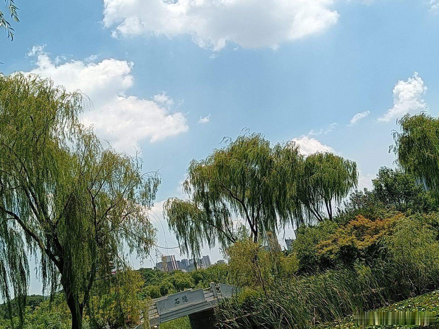 手机摄影读过的妙文听过的畅曲汇成美好的歌伴岁月前行