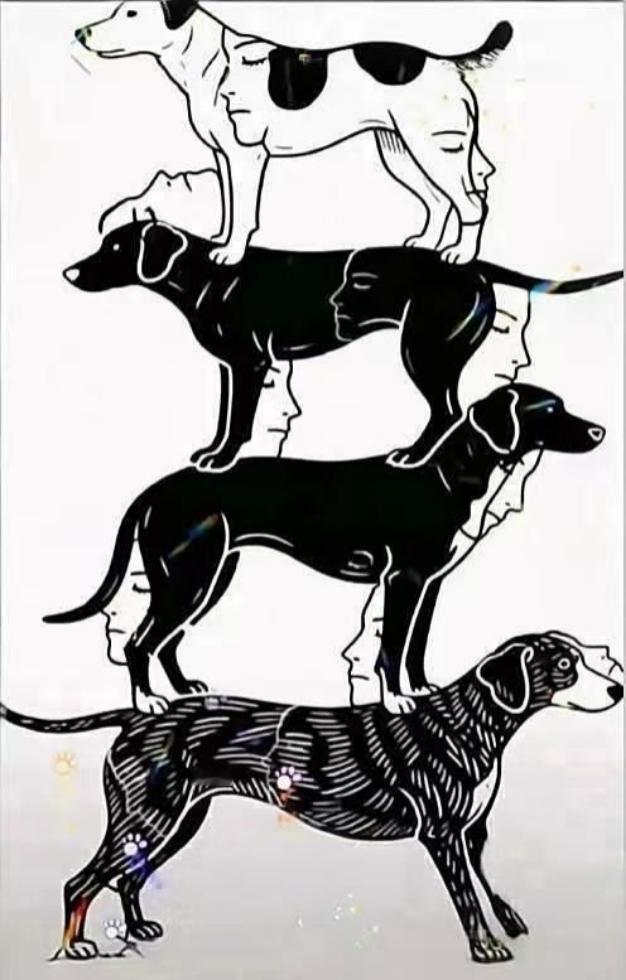 敢来挑战吗？一分钟找出图里10张人脸！这张错觉图看着是几只狗狗叠在一起，里面
