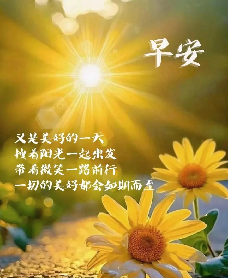 [玫瑰]早上好[玫瑰]送上今天的祝福期待明天的美好让幸福健康同在让快乐平