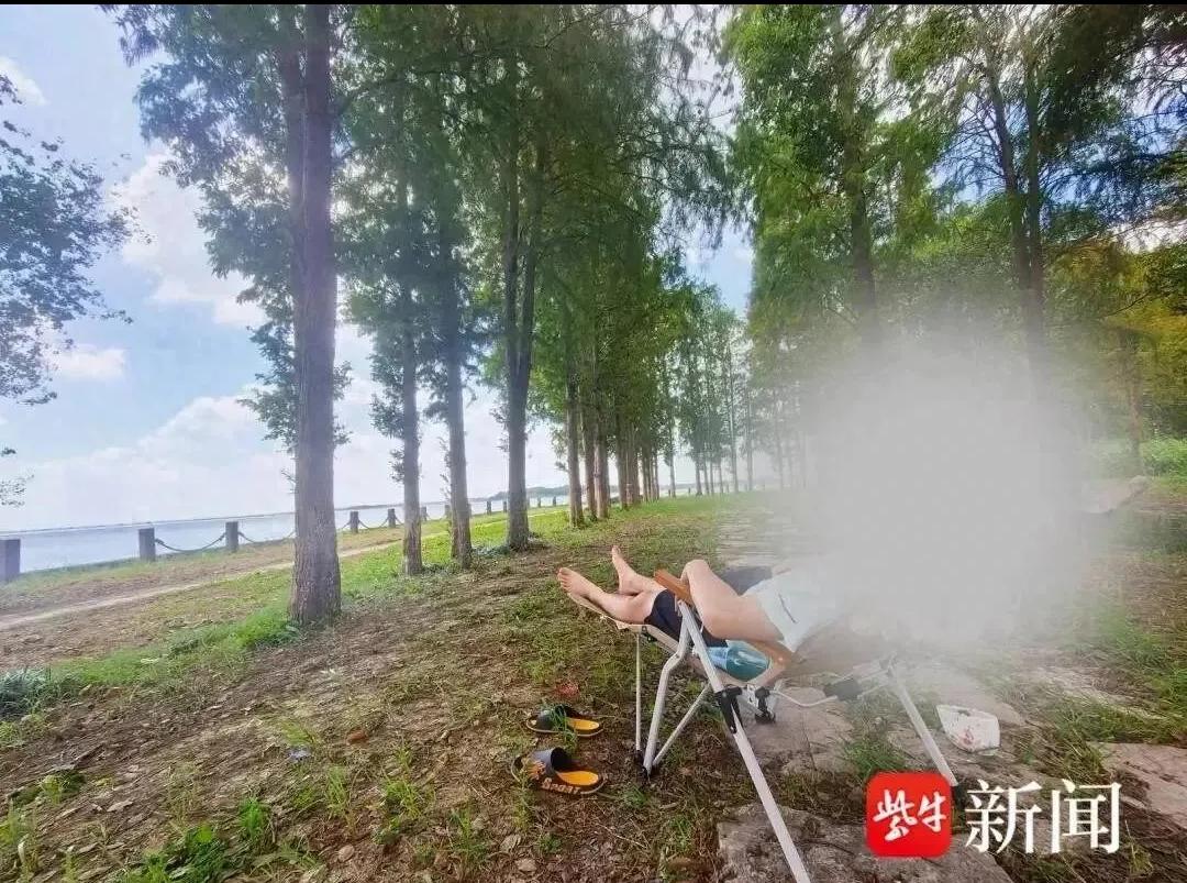 江苏昆山，母子二人带折叠椅和地垫在树下休息吹风，仅20多分钟后儿子突感“身上像有