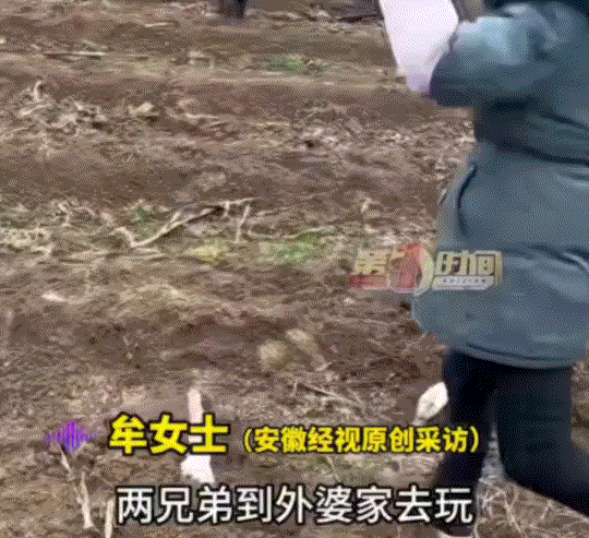 真是又气又好笑，湖北施恩，妈妈带着两兄弟回外婆家玩，结果大人一个不留神，两兄弟居