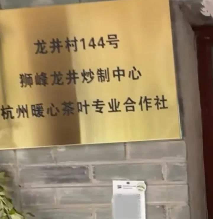 避雷龙井村144号这家店！洪剑涛来到这家店问：你们这有那个乾隆爷18棵树的茶吗，