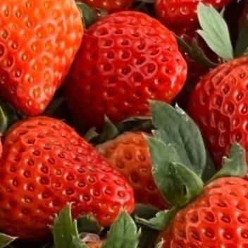 种植草莓的种植方法一、幼苗：种植草莓前宜选用健康无病、根系发达的优质幼苗，