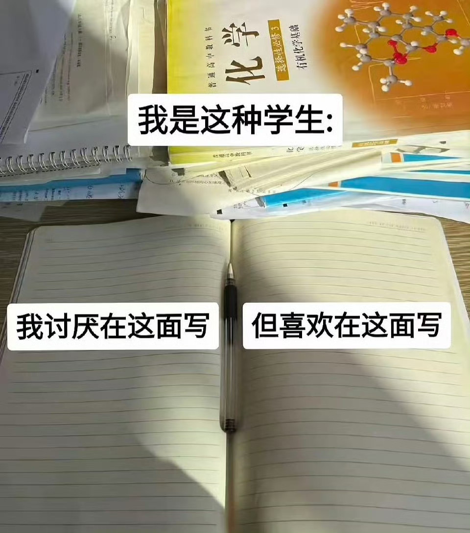 我是这样的学生