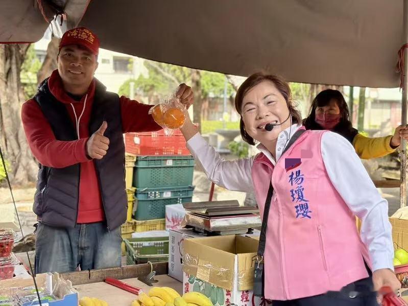 民进党公布民调时间和执行民调“只隔了三天”民进党确实是提前公布台南和高雄初选