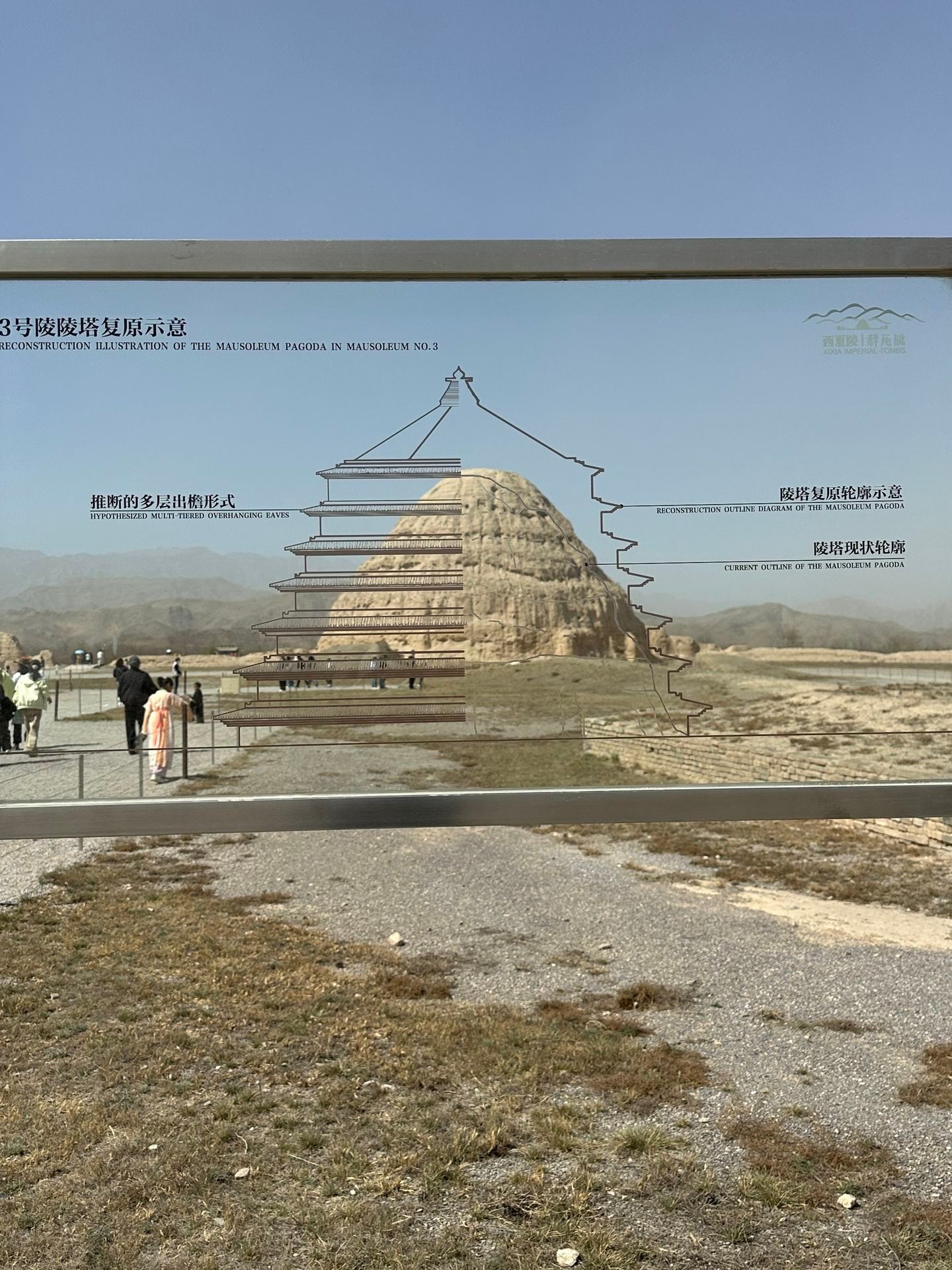 银川文旅当文物局来了位有审美的领导…