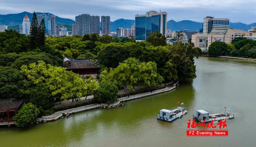 福州西湖大变样！水下森林即将上线经过一场“深度清洁”后，福州西湖大变样了！西湖水