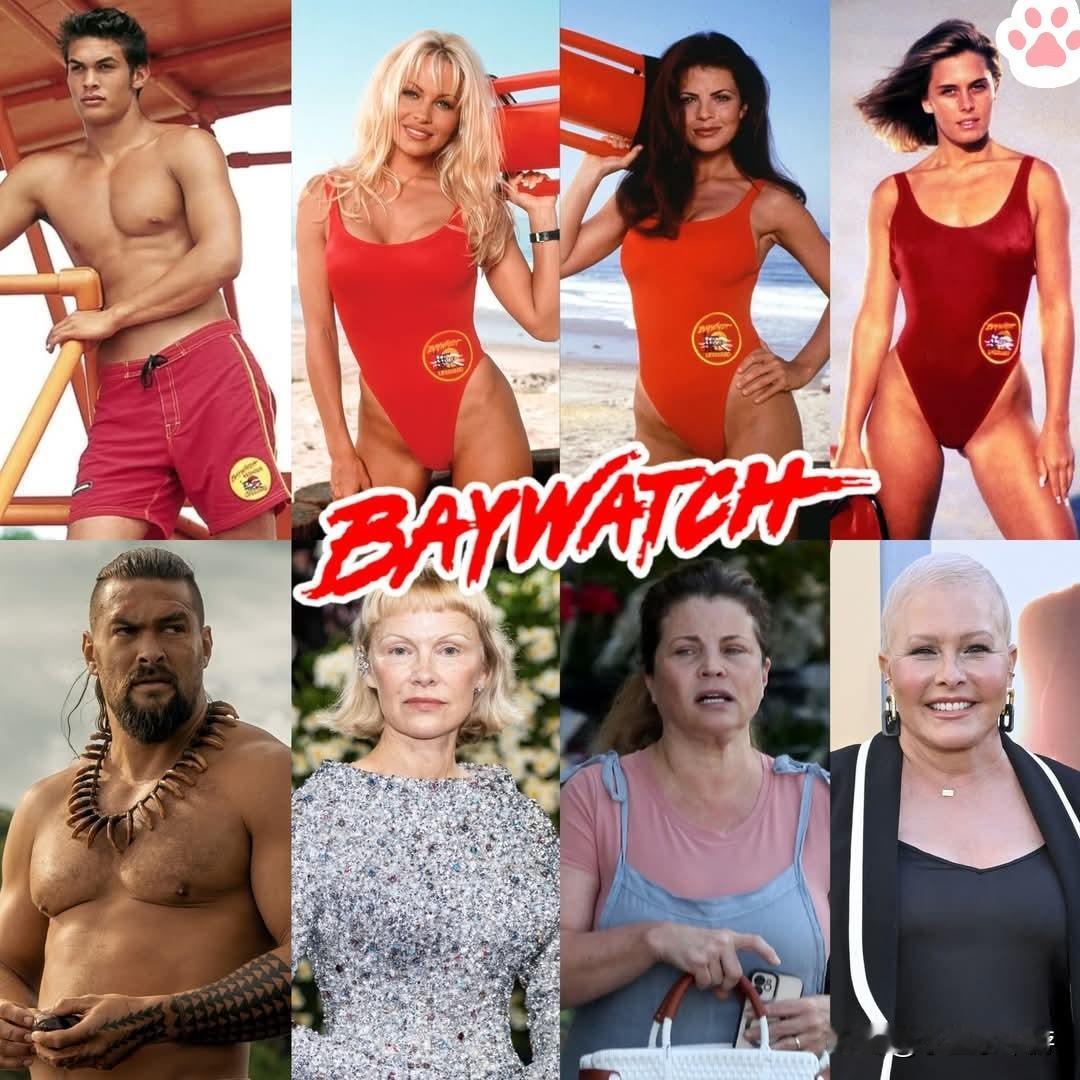 美剧《海滩救护队》演员今昔对比照。