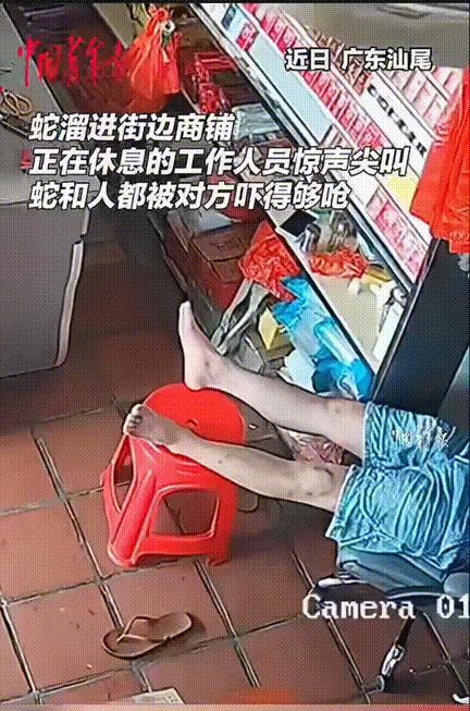 河东狮吼的威力真不容小窥！广东汕尾，商店老板正躺在椅子上休息呢，无意间往店门口一